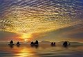 294 - FISHING AT SUNRISE - HO YAU MING CHARLES - hong kong